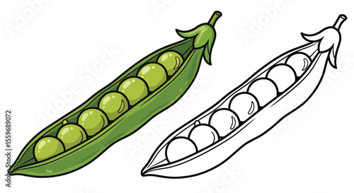 Green Pea Pods Coloring Page with Full Color and Outline Vegetable Art Kids Activity