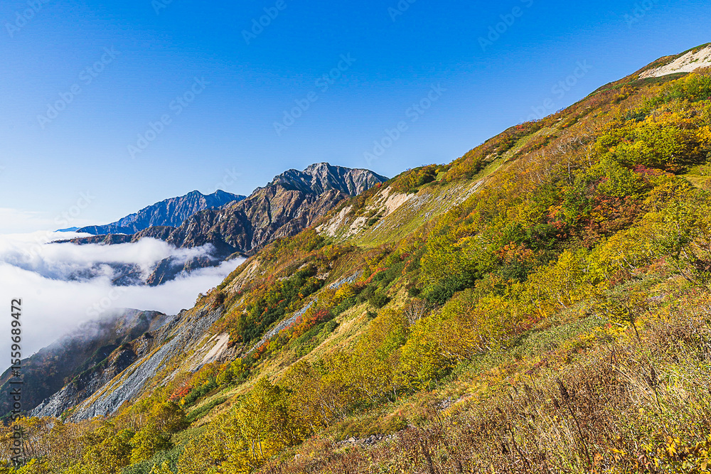 Fototapeta premium 唐松岳 紅葉