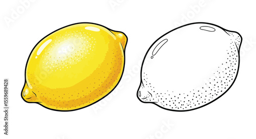 Lemon Coloring Page with Full Color and Outline Citrus Fruit Art Educational Activity
