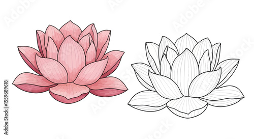 Lotus Flower Coloring Page with One Colored and One Outline Version Sacred Floral Art