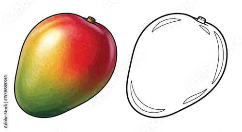 Mango Coloring Page with Full Color and Outline Tropical Fruit Art Educational Activity