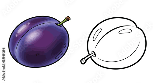 Plum Fruit Coloring Page with Full Color and Outline Berry Art Educational Kids Activity