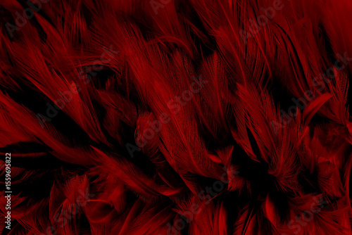 Beautiful dark red bird feathers pattern texture background.