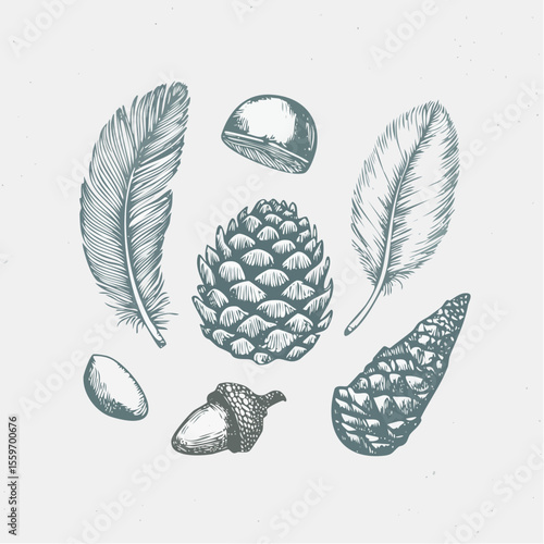 Peaceful vector sketch of natural finds like pinecone, feather, pebble, and leaf drawn in quiet graphite on a speckled paper background.