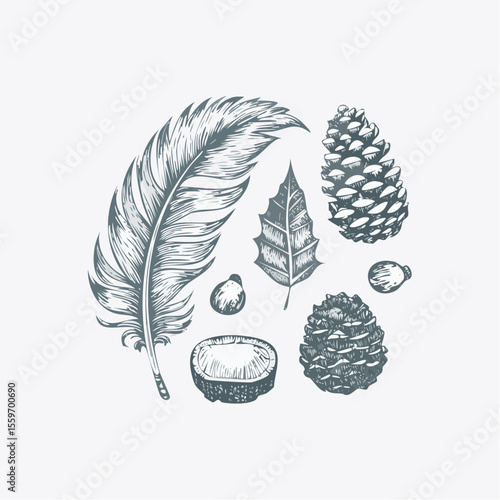 Peaceful vector sketch of natural finds like pinecone, feather, pebble, and leaf drawn in quiet graphite on a speckled paper background.