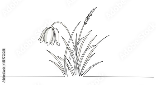 Minimalist botanical vector illustration of a bellflower for nature-themed design