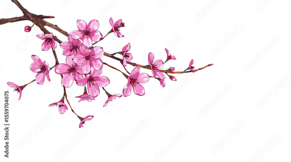 Naklejka premium Elegant Cherry Blossom Branch Illustrations in Ink and Watercolor Style