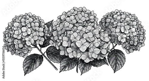 Minimalist camping tent with flap vector illustration for outdoor adventure design