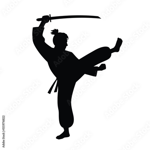 Martial Arts Silhouette of a Person in Action