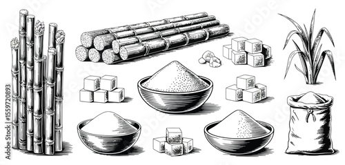 Sugarcane and Sugar Products Vintage Illustration