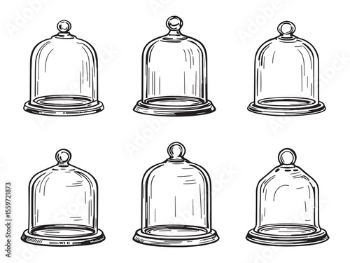 Modern decorative glass cloche outline style vector art
