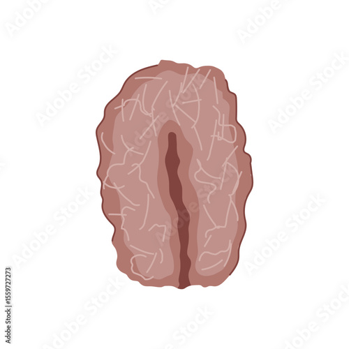 cleaning coconut fiber dish scrubber cartoon vector illustration