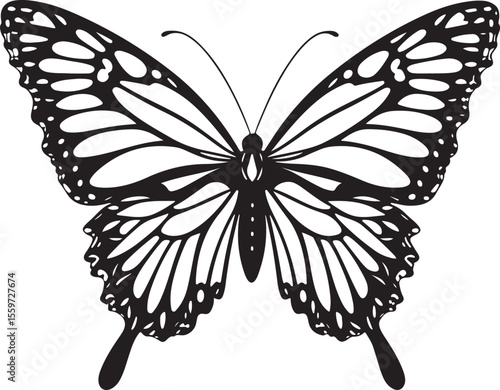 Elegant Butterfly Outline - Detailed Insect Vector Illustration