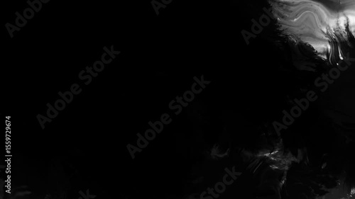 Black ink drops bleed and spread across a white background in an organic artistic transition, perfect for use as a reveal, background, or luma matte effect