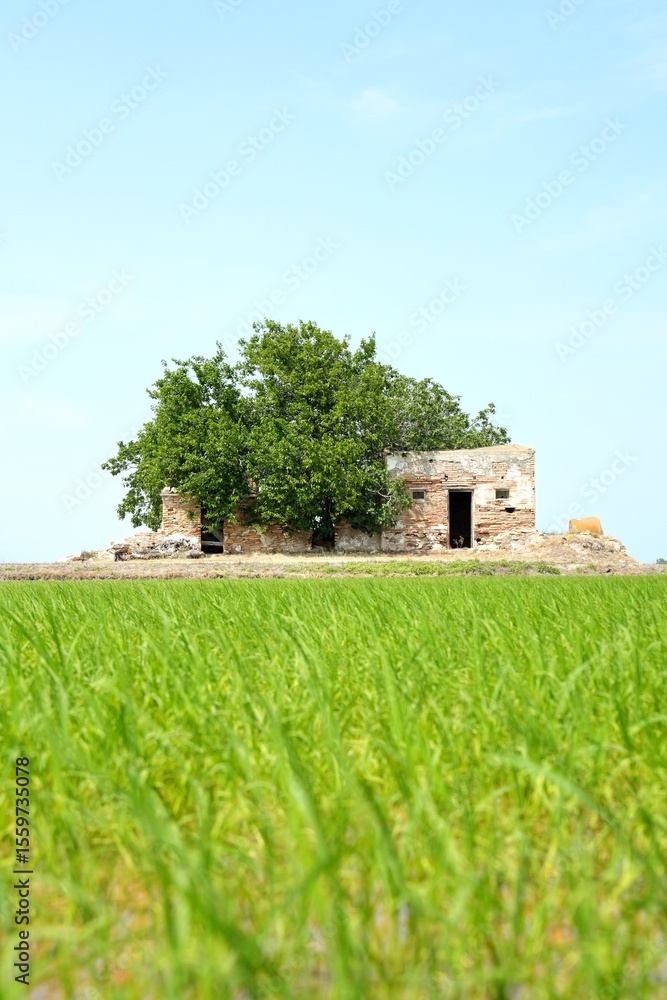 Obraz premium old house in the field