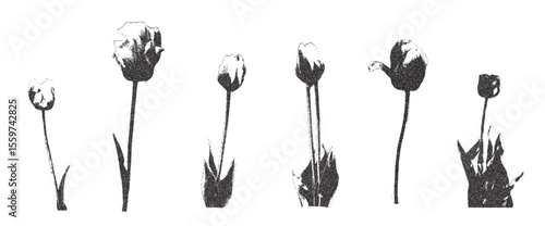 Tulip flowers collage set. Cutout photocopy simple floral elements for mixed media design. Pieces of retro magazine halftone wildflowers. Vector retro illustration isolated on white background.