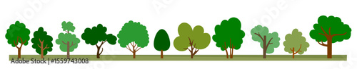 trees forest background horizontal picture scenery symbolic trees cartoon style set of deciduous trees location