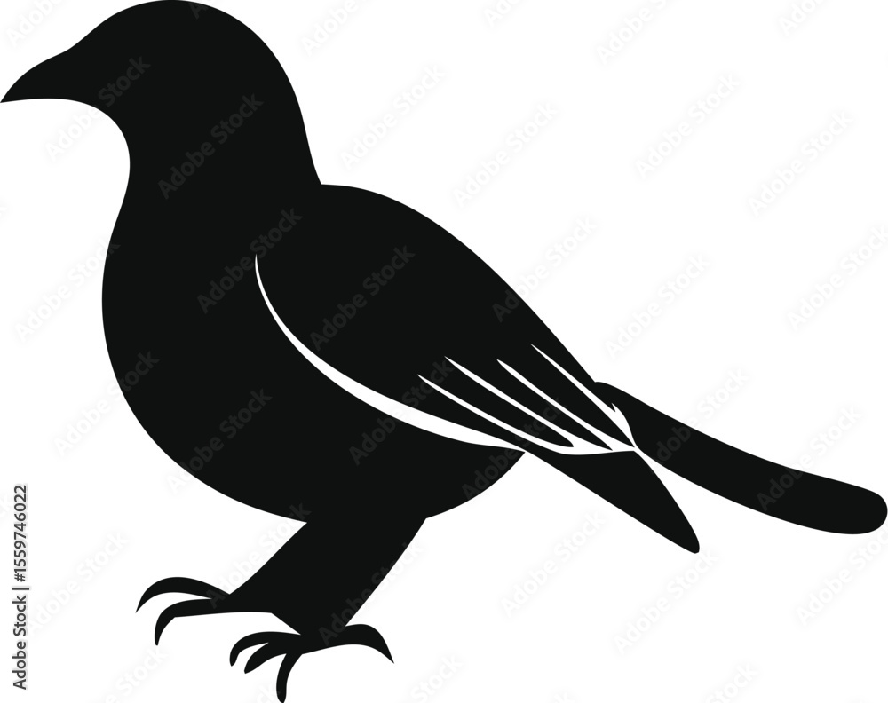 Obraz premium Realistic Bird Silhouette Vector | Black Wild Feathered Animal Clipart