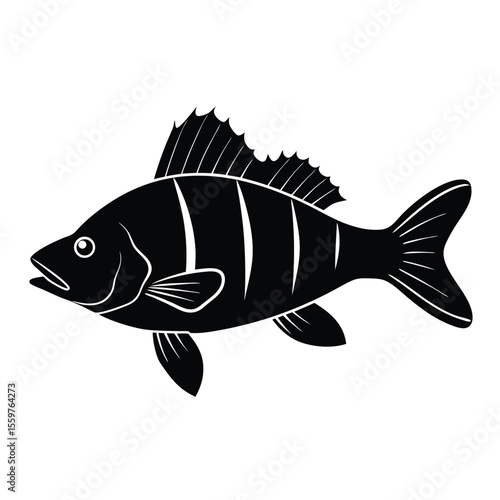 perch silhouette vector on white background