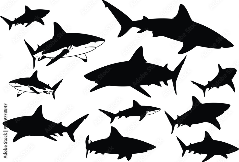 Collection of Shark Silhouettes Vector Graphics for Design Projects Collection of Shark Silhouettes Vector Graphics for Design Projects