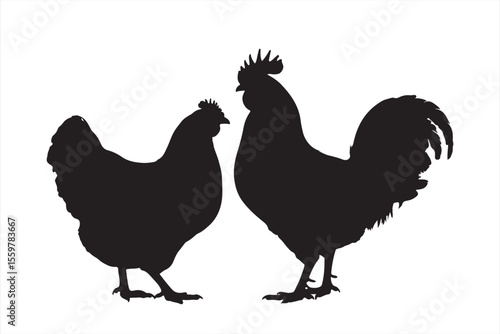 Chicken Pair Silhouette: A simple yet striking silhouette of a chicken and rooster standing side by side, representing a harmonious duo in their natural state, presented with clarity.