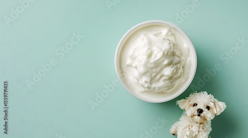 Delightful bowl of creamy yogurt next to an adorable fluffy white dog on a serene light blue background