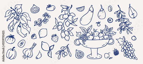 Summer fruits and vegetables whimsical hand drawn set. Whimsy coquette line art garden food - tomatoes, lemons, olives, garlic, bell pepper and fruit vase vector outline sketch illustration