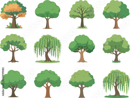 Trees vector illustration collection diverse tree types graphic design art