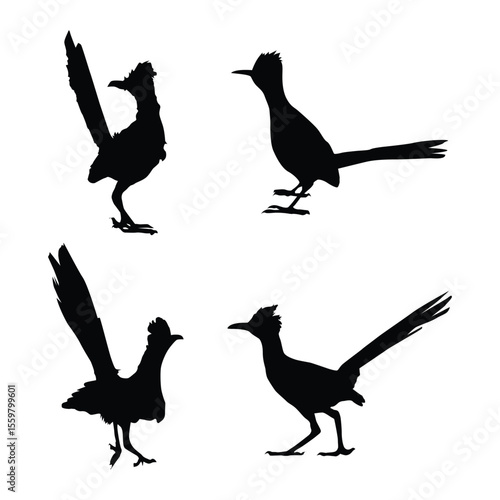 set of Roadrunner Bird black silhouettes illustration on whtie background vol 01