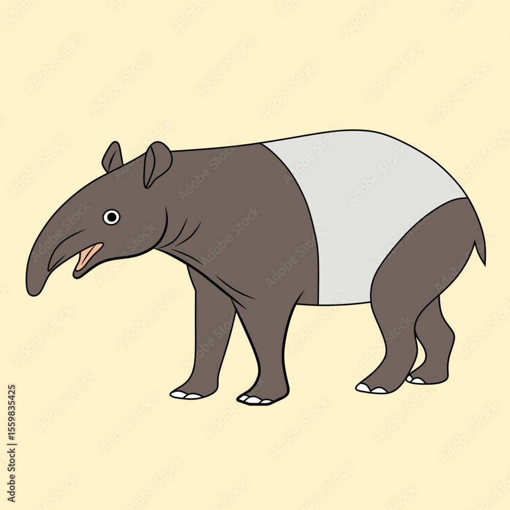 Fototapeta premium Cute friendly wild animal, black and white tapir.