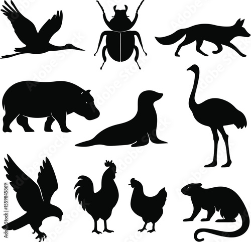 Wildlife Silhouette Icons – Nature’s Diversity