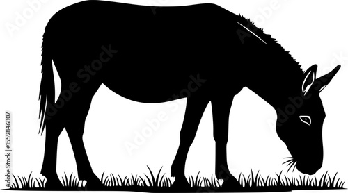 mule eat grass line art silhouette vector illustration
