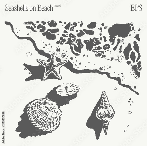 Seashells and Starfish on a Beautiful Beach An Enchanting and Captivating EPS Artwork