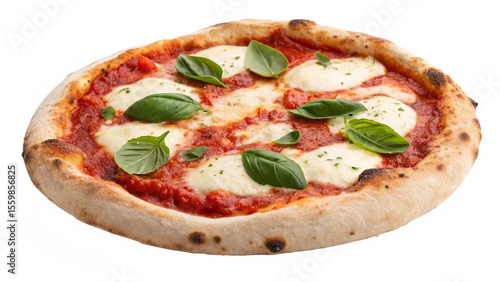fresh and authentic  Neapolitan pizza  food on white or transparent  background