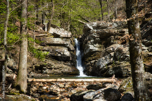 Crystal waterfalls tumble gently through the lush, endless Arkansas forests, hidden among rolling hills and dappled sunlight filtering through tall trees.