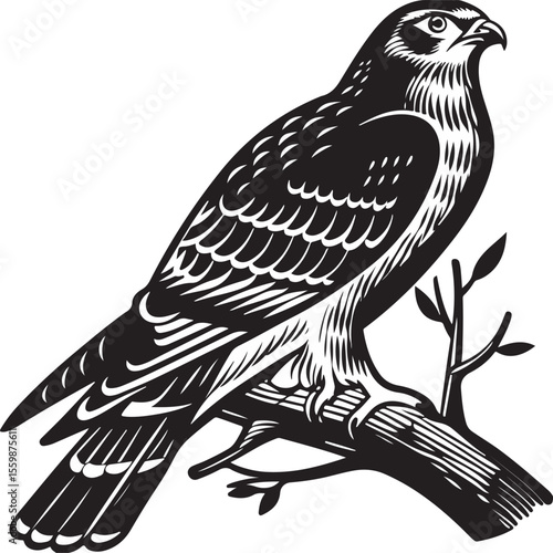  Elegant Raven Vector with Stylized Leaves