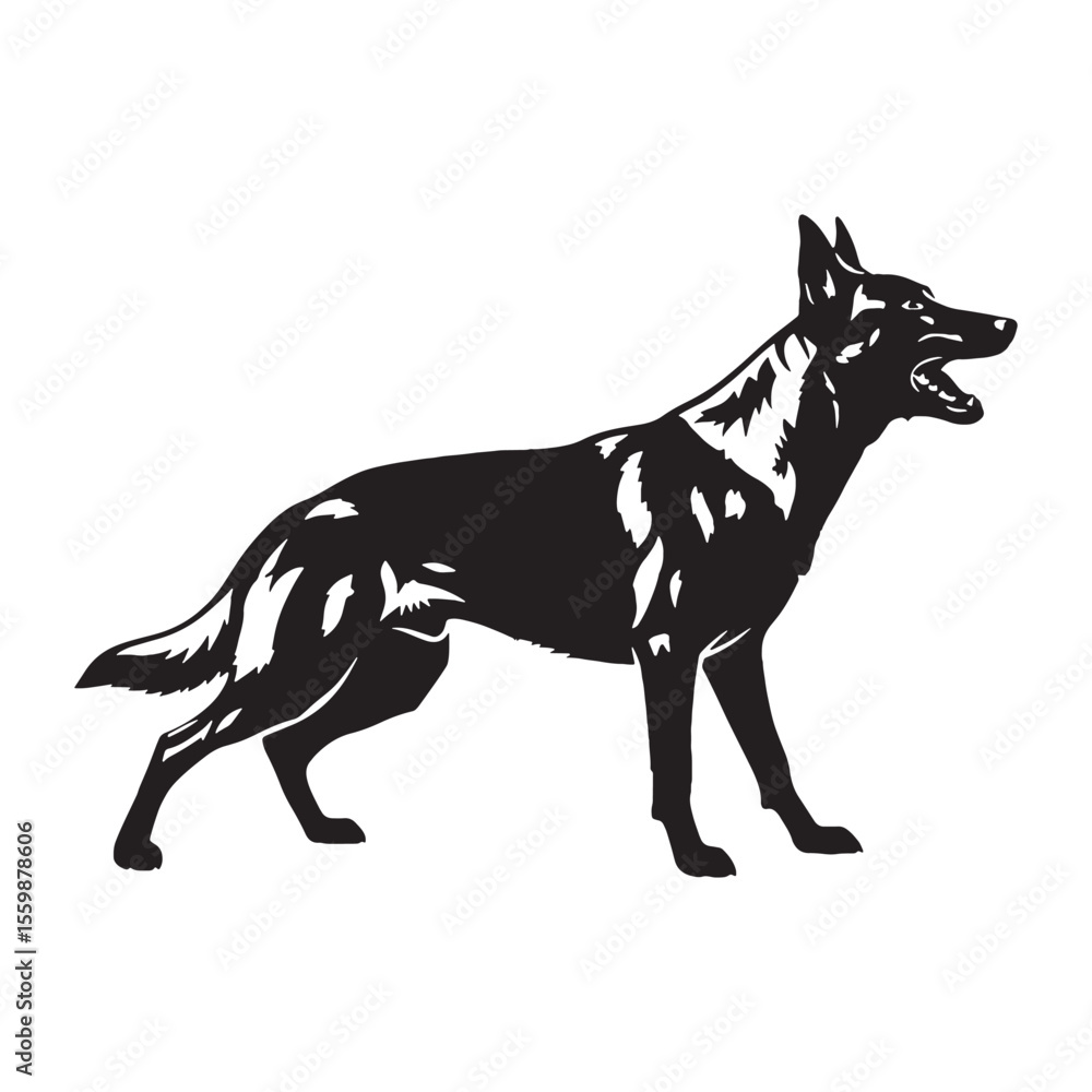 Fototapeta premium Presenting a standard Belgian Malinois digital black vector, easy to use - Belgian Malinois silhouette - Belgian Malinois Vector - Silhouette of Belgian Malinois - dog vector