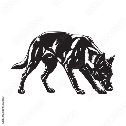 A versatile Belgian Malinois black vector asset, modern digital image for uses - Belgian Malinois silhouette - Belgian Malinois Vector - Silhouette of Belgian Malinois - dog silhouette

