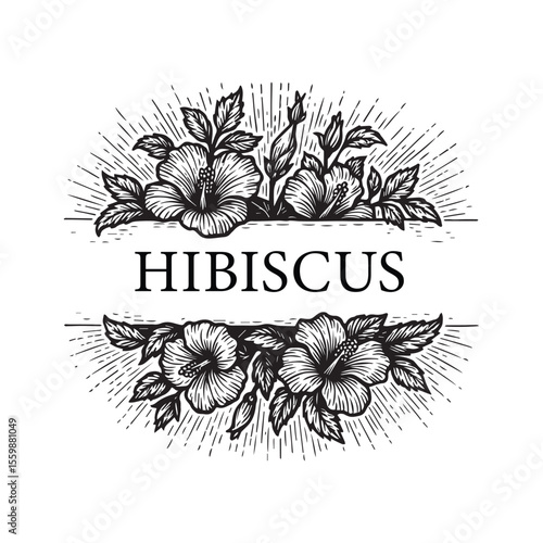 Hibiscus Woodcut Line Art, Vintage Floral Illustration for Packaging, Labels and Creative Craft Design