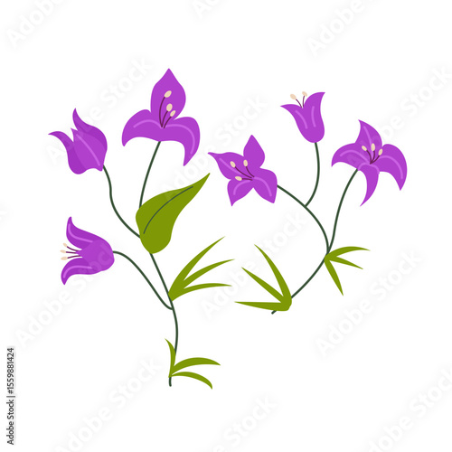 Bougainvillea flower branches with leaves. Vector flat botanical illustration. Spring blooming stem of purple flowers