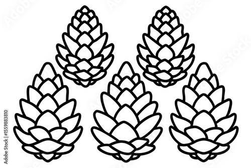 Rustic Pine Cone Outline Collection Nature Line Vector Pack