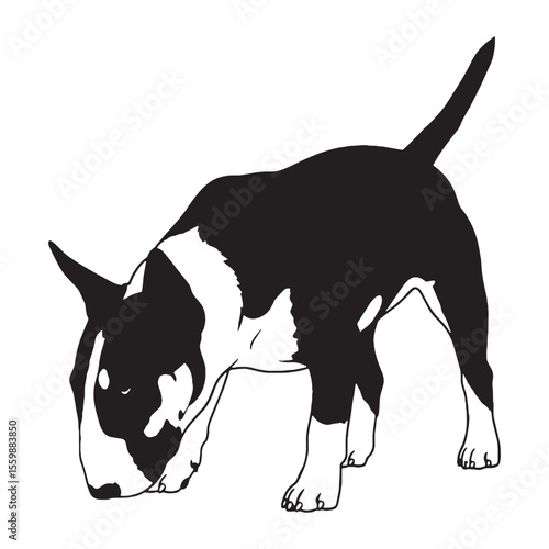 An iconic Bull Terrier digital black representation, clearly identifying the breed - Bull Terrier silhouette - Bull Terrier Vector - Silhouette of Bull Terrier - dog vector

