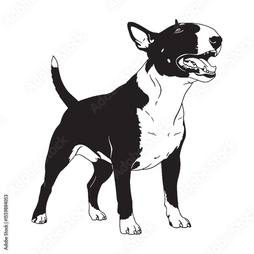 Presenting a standard Bull Terrier digital black vector, easy to use and adapt - Bull Terrier silhouette - Bull Terrier Vector - Silhouette of Bull Terrier - dog silhouette

