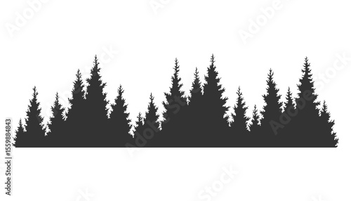 Fir trees silhouette. Coniferous spruce horizontal background pattern, black evergreen woods vector illustration. Beautiful hand drawn panorama of coniferous forest