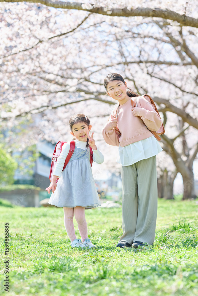 桜の下で笑顔の姉妹二人 桜の下で笑顔の姉妹二人
