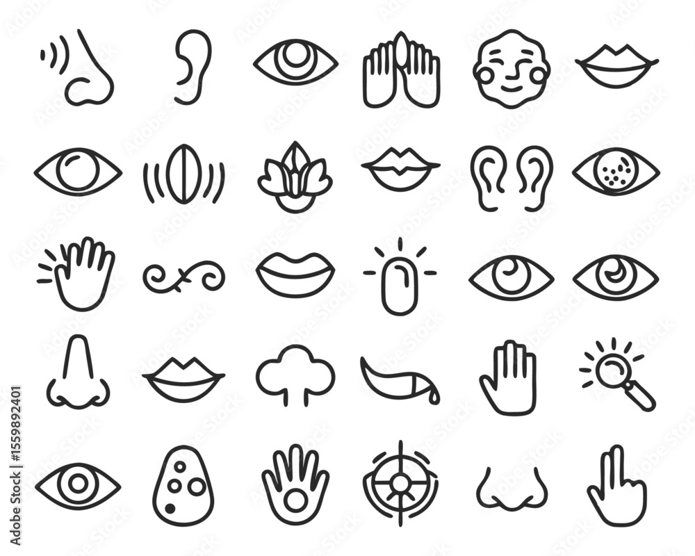 Fototapeta premium A comprehensive collection of graphic elements representing the five human senses including taste sight touch smell and hearing for diverse design applications