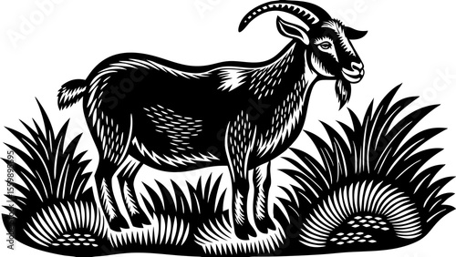 Illustration of a black and white goat standing in tall grass with detailed line work and shading style