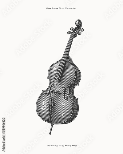 Double bass string instrument standing upright. Hand drawn engraving illustration. Classical music and orchestra concept. Design for print, poster, card, invitation, banner.