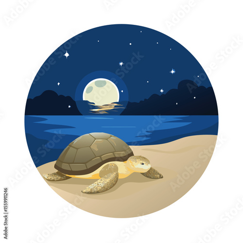 Tranquil night scene of a sea turtle carefully walking on a beach sand vector art design 