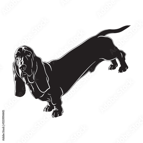 An iconic Basset Hound digital black representation, clearly identifying the beloved breed - Basset Hound silhouette - Basset Hound Vector - Silhouette of Basset Hound - dog vector

